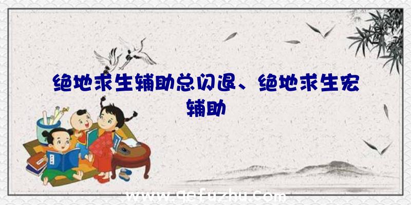 绝地求生辅助总闪退、绝地求生宏辅助