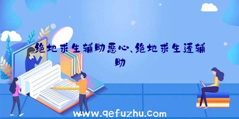 绝地求生辅助恶心、绝地求生透辅助