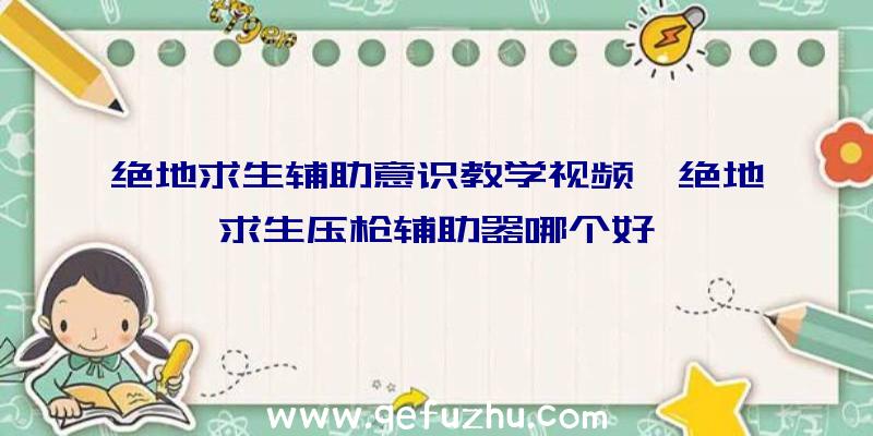 绝地求生辅助意识教学视频、绝地求生压枪辅助器哪个好