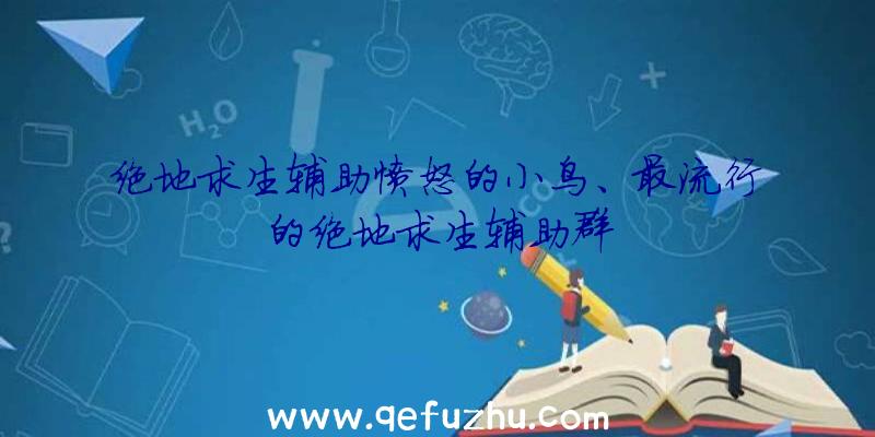 绝地求生辅助愤怒的小鸟、最流行的绝地求生辅助群