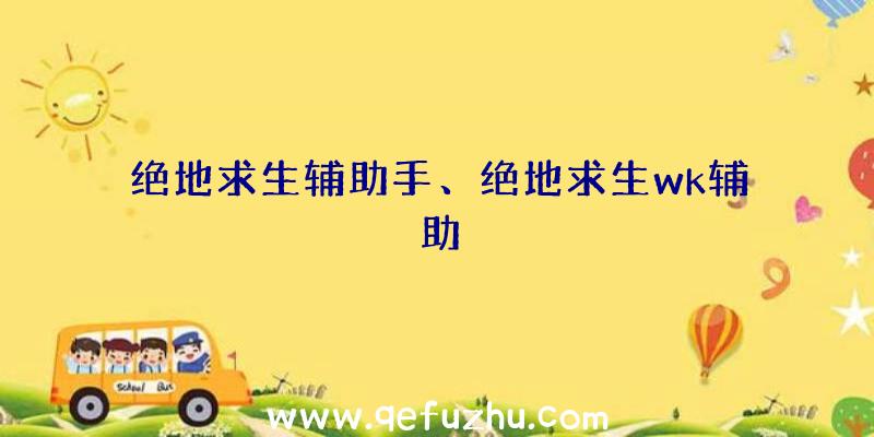 绝地求生辅助手、绝地求生wk辅助