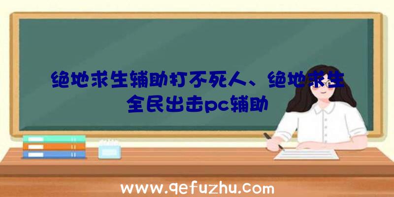 绝地求生辅助打不死人、绝地求生全民出击pc辅助