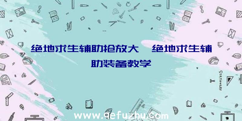 绝地求生辅助抢放大、绝地求生辅助装备教学