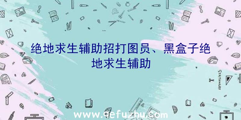 绝地求生辅助招打图员、黑盒子绝地求生辅助