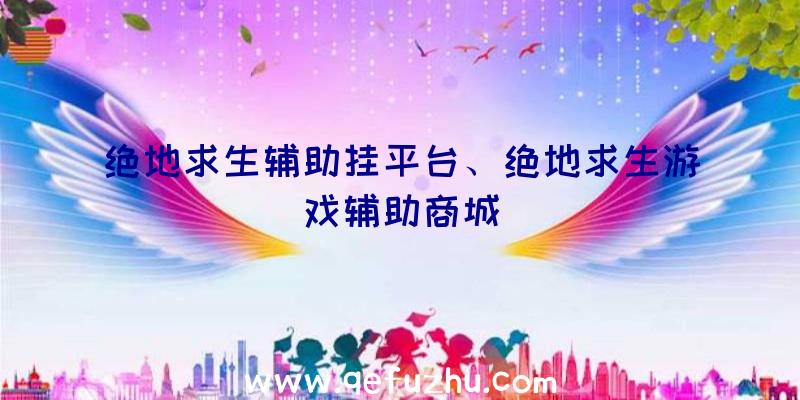 绝地求生辅助挂平台、绝地求生游戏辅助商城