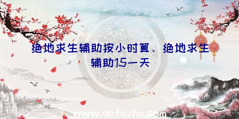 绝地求生辅助按小时算、绝地求生辅助15一天