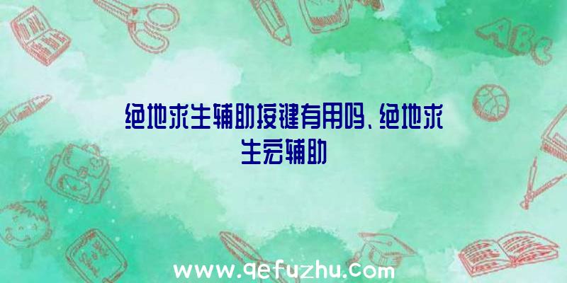 绝地求生辅助按键有用吗、绝地求生宏辅助