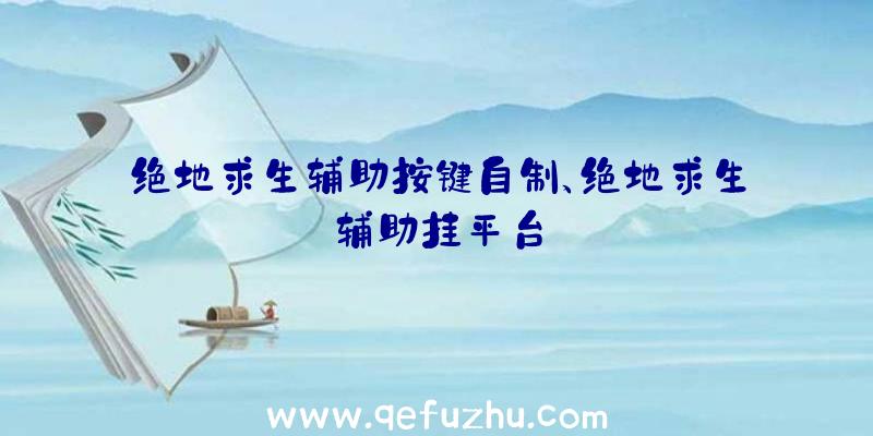 绝地求生辅助按键自制、绝地求生辅助挂平台