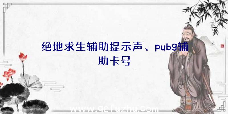 绝地求生辅助提示声、pubg辅助卡号