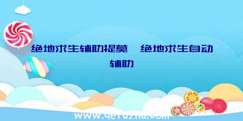 绝地求生辅助提莫、绝地求生自动辅助