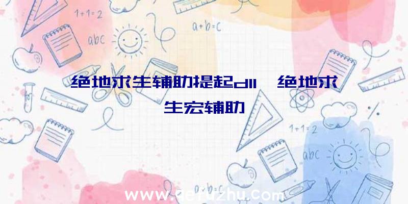 绝地求生辅助提起dll、绝地求生宏辅助