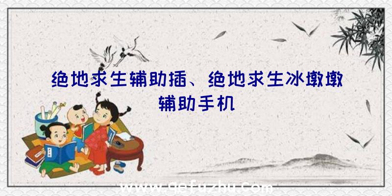 绝地求生辅助插、绝地求生冰墩墩辅助手机