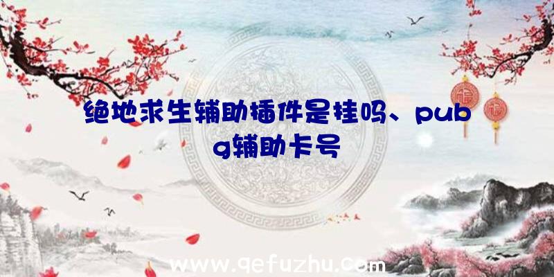 绝地求生辅助插件是挂吗、pubg辅助卡号