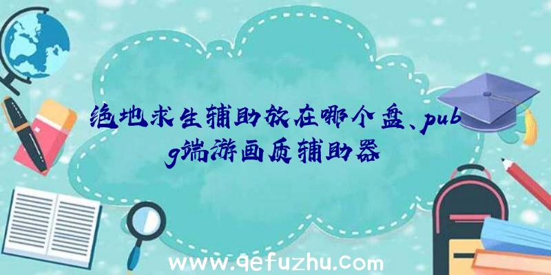 绝地求生辅助放在哪个盘、pubg端游画质辅助器