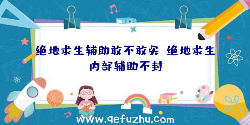 绝地求生辅助敢不敢买、绝地求生内部辅助不封