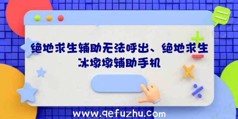 绝地求生辅助无法呼出、绝地求生冰墩墩辅助手机