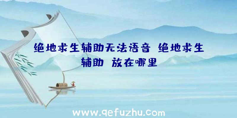 绝地求生辅助无法语音、绝地求生辅助