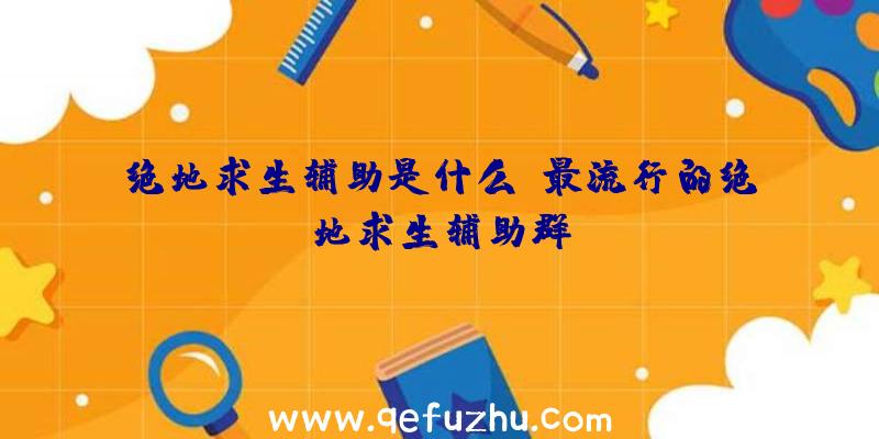 绝地求生辅助是什么、最流行的绝地求生辅助群