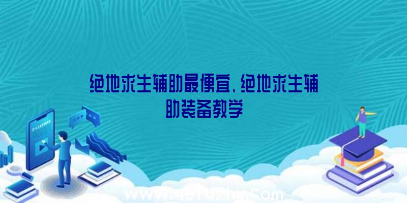 绝地求生辅助最便宜、绝地求生辅助装备教学