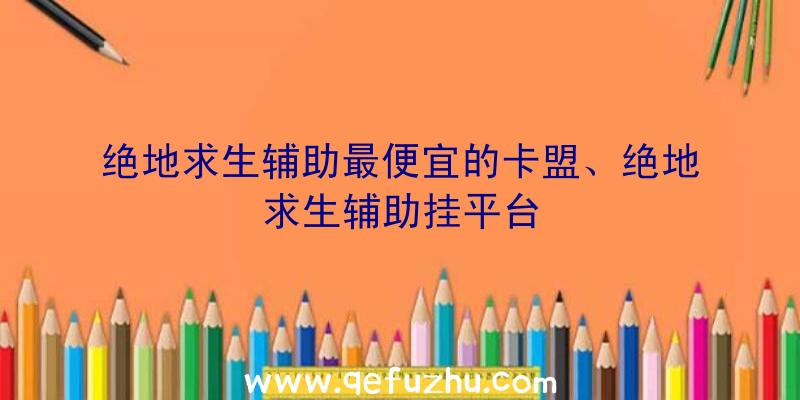 绝地求生辅助最便宜的卡盟、绝地求生辅助挂平台