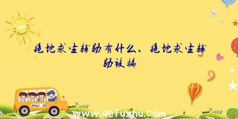 绝地求生辅助有什么、绝地求生辅助被骗