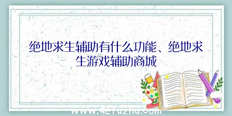 绝地求生辅助有什么功能、绝地求生游戏辅助商城