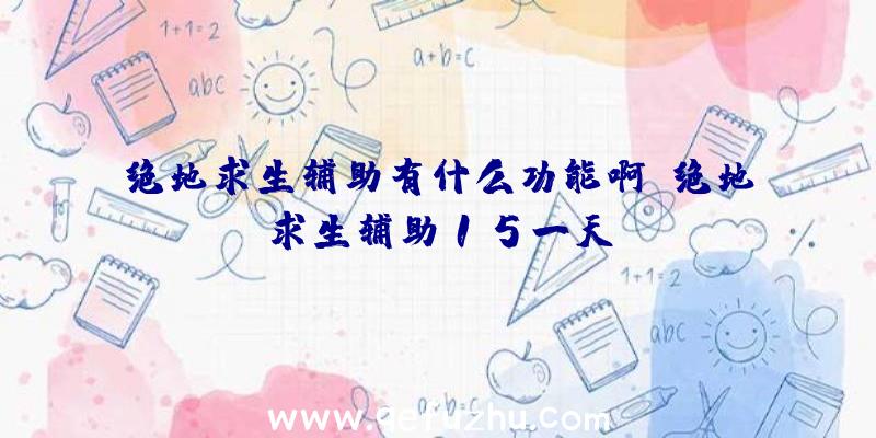 绝地求生辅助有什么功能啊、绝地求生辅助15一天