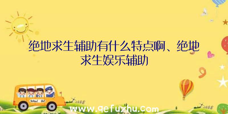 绝地求生辅助有什么特点啊、绝地求生娱乐辅助