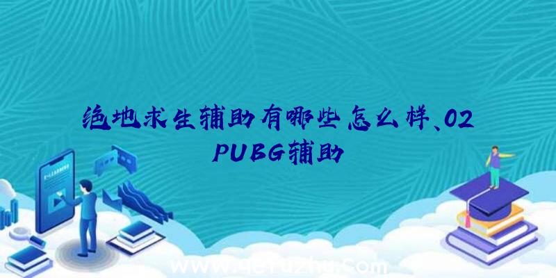 绝地求生辅助有哪些怎么样、02PUBG辅助