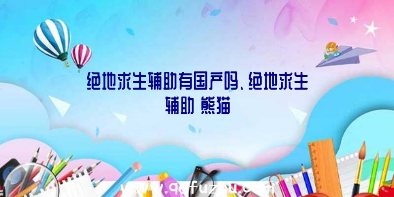 绝地求生辅助有国产吗、绝地求生辅助