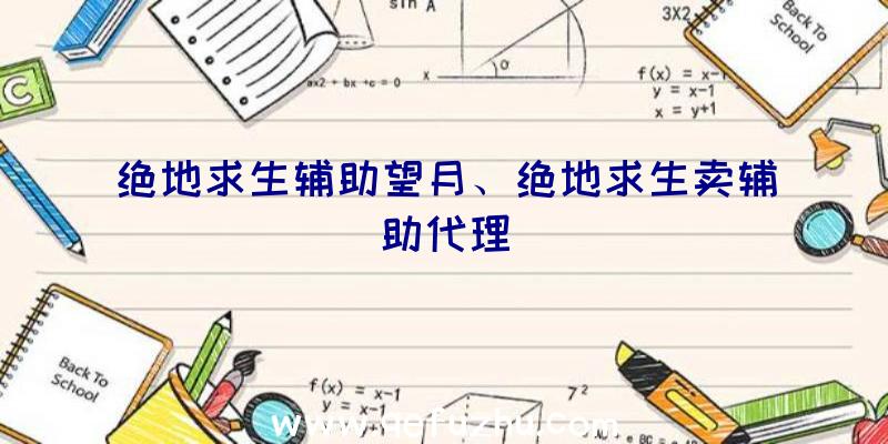 绝地求生辅助望月、绝地求生卖辅助代理