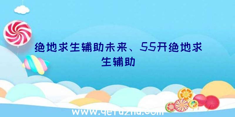 绝地求生辅助未来、55开绝地求生辅助