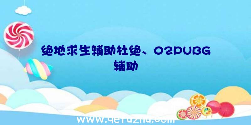 绝地求生辅助杜绝、02PUBG辅助