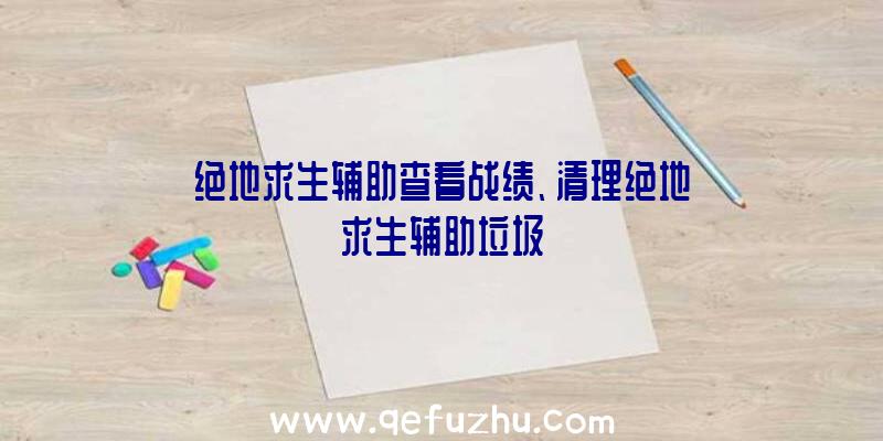 绝地求生辅助查看战绩、清理绝地求生辅助垃圾