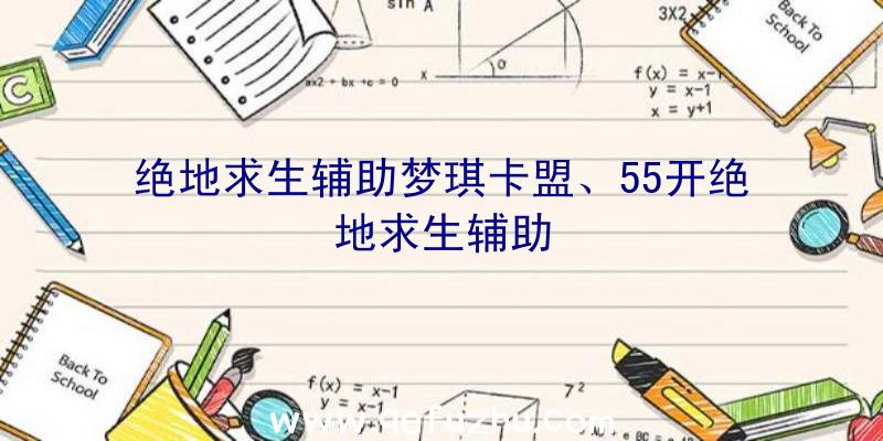 绝地求生辅助梦琪卡盟、55开绝地求生辅助