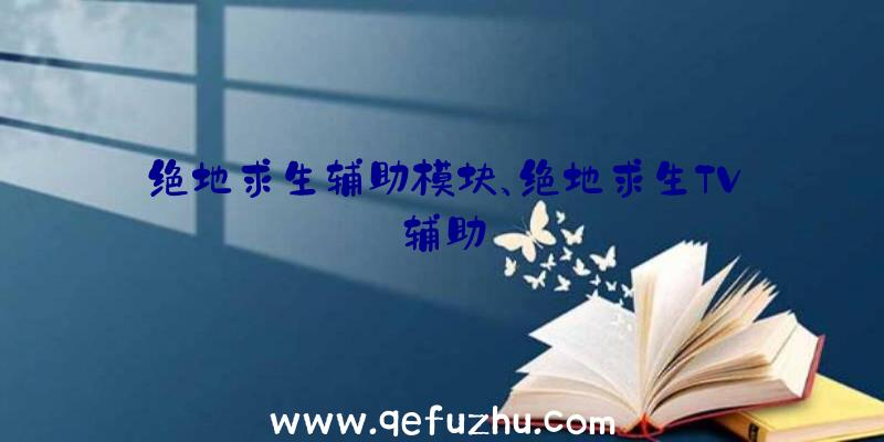 绝地求生辅助模块、绝地求生TV辅助