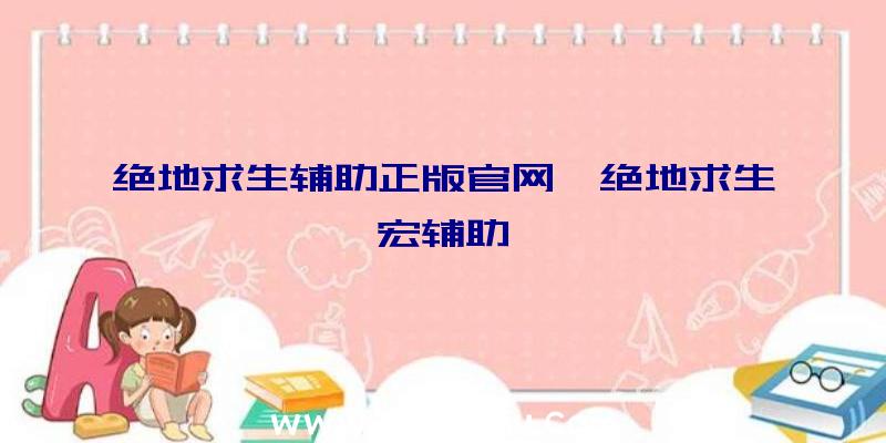 绝地求生辅助正版官网、绝地求生宏辅助