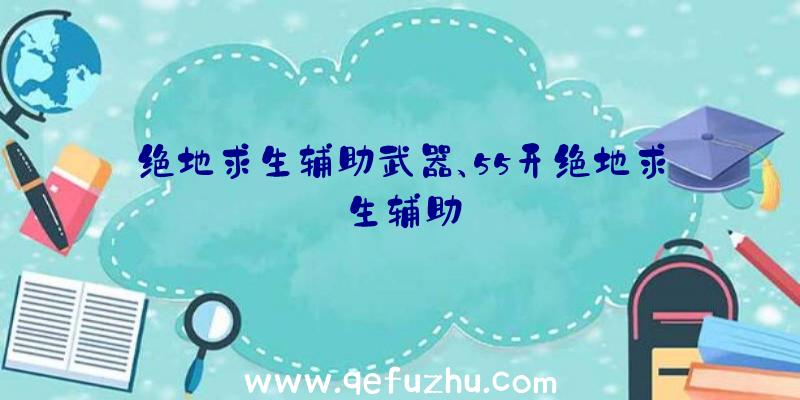 绝地求生辅助武器、55开绝地求生辅助