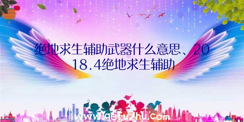 绝地求生辅助武器什么意思、2018.4绝地求生辅助