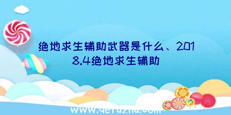 绝地求生辅助武器是什么、2018.4绝地求生辅助