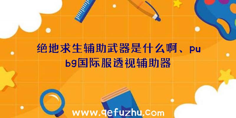 绝地求生辅助武器是什么啊、pubg国际服透视辅助器