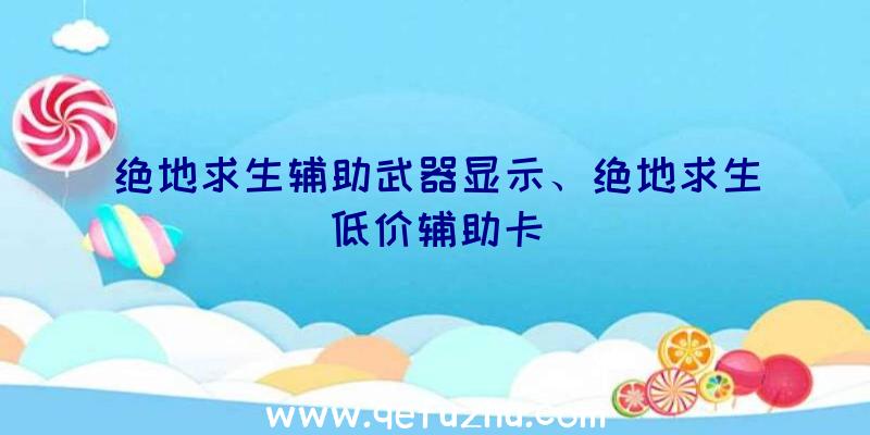 绝地求生辅助武器显示、绝地求生低价辅助卡