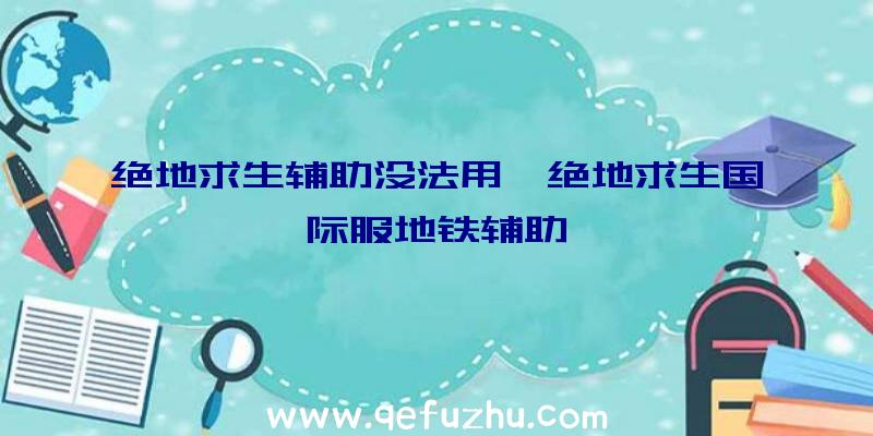 绝地求生辅助没法用、绝地求生国际服地铁辅助