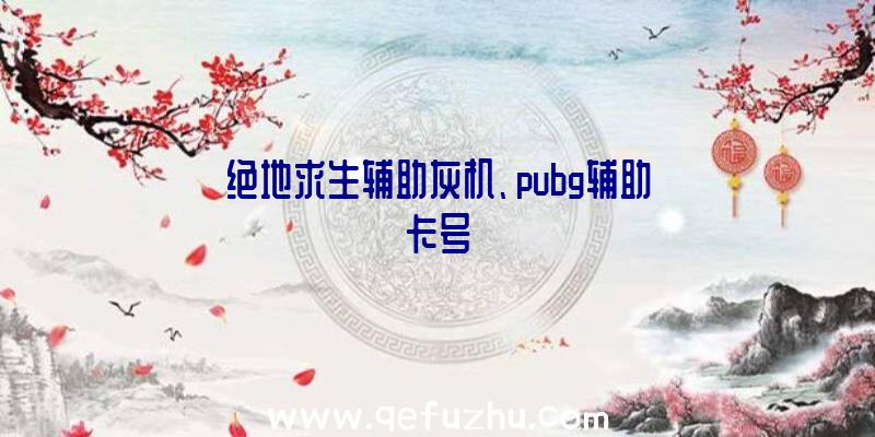 绝地求生辅助灰机、pubg辅助卡号