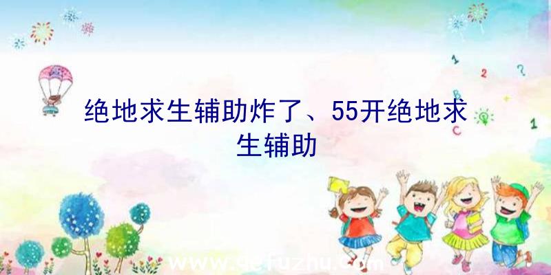 绝地求生辅助炸了、55开绝地求生辅助