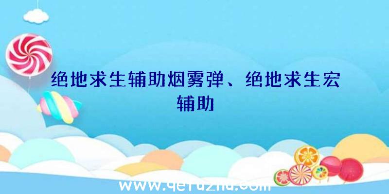 绝地求生辅助烟雾弹、绝地求生宏辅助