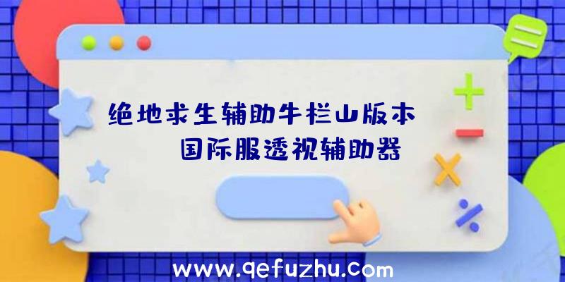 绝地求生辅助牛栏山版本、pubg国际服透视辅助器