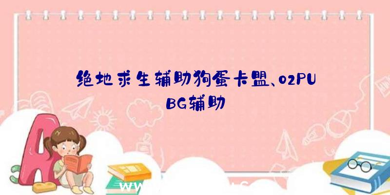 绝地求生辅助狗蛋卡盟、02PUBG辅助