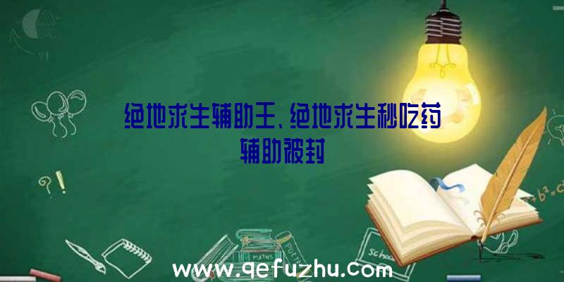 绝地求生辅助王、绝地求生秒吃药辅助被封