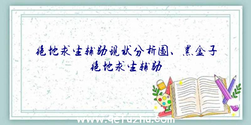 绝地求生辅助现状分析图、黑盒子绝地求生辅助